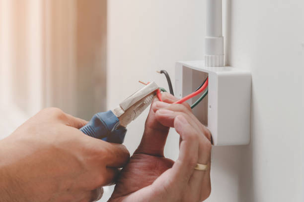 Best Electrical Panel Upgrades  in Eufaula, OK